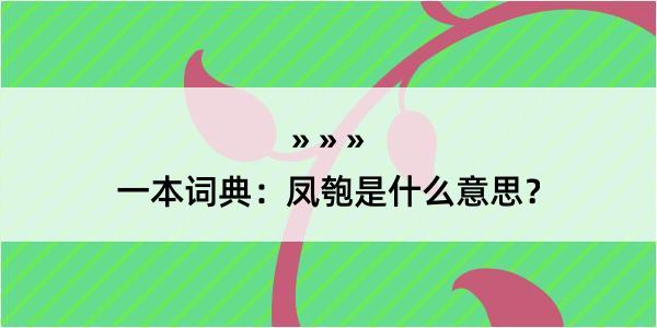 一本词典：凤匏是什么意思？