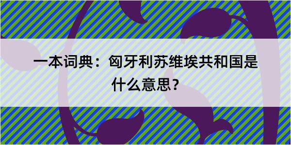 一本词典：匈牙利苏维埃共和国是什么意思？