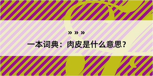 一本词典：肉皮是什么意思？