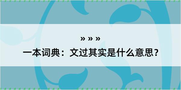 一本词典：文过其实是什么意思？