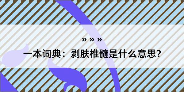 一本词典：剥肤椎髓是什么意思？