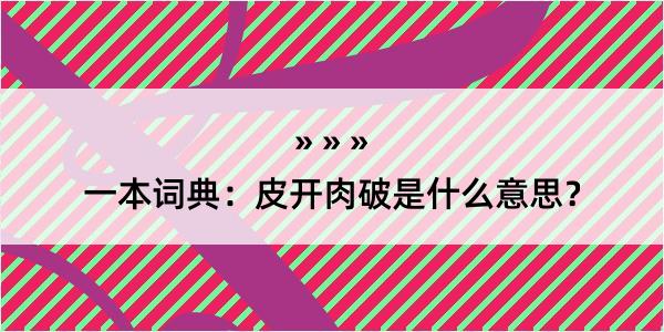 一本词典：皮开肉破是什么意思？