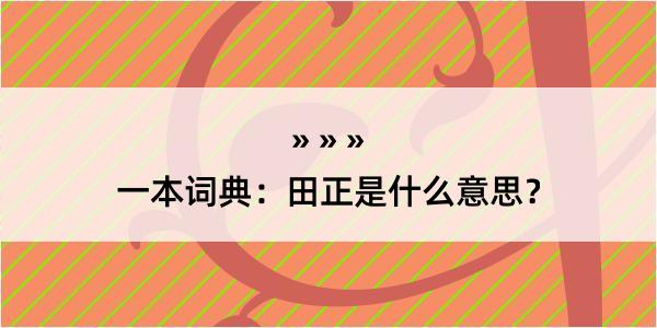 一本词典：田正是什么意思？