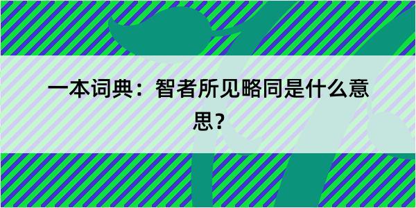 一本词典：智者所见略同是什么意思？