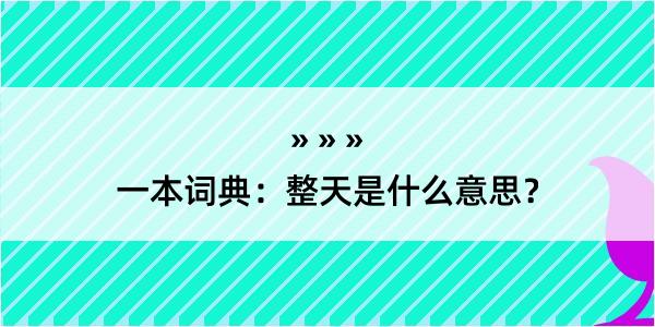 一本词典：整天是什么意思？