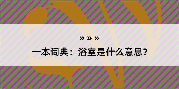 一本词典：浴室是什么意思？