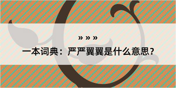 一本词典：严严翼翼是什么意思？