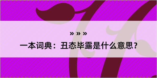 一本词典：丑态毕露是什么意思？