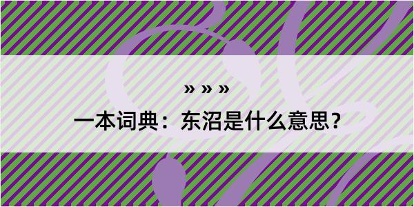 一本词典：东沼是什么意思？