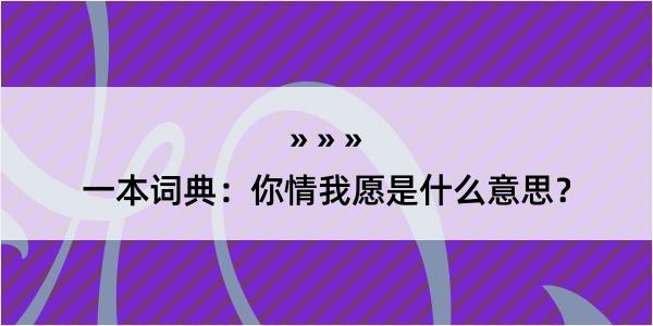 一本词典：你情我愿是什么意思？