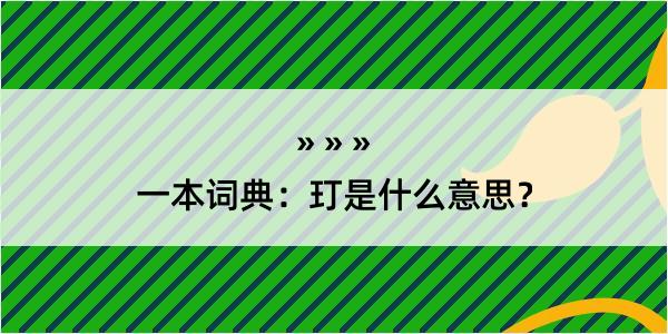 一本词典：玎是什么意思？