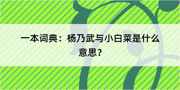 一本词典：杨乃武与小白菜是什么意思？