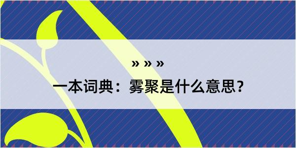 一本词典：雾聚是什么意思？