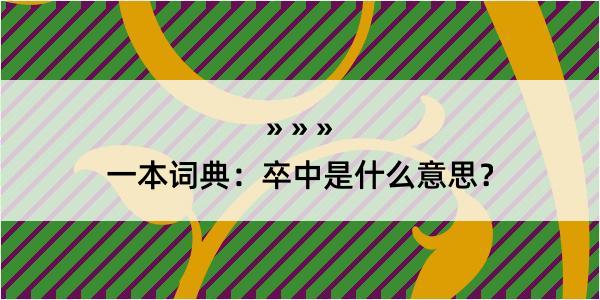 一本词典：卒中是什么意思？