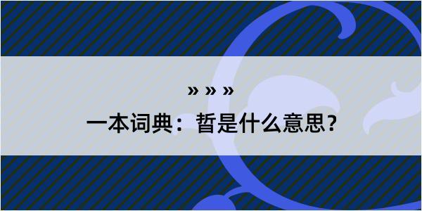 一本词典：晢是什么意思？