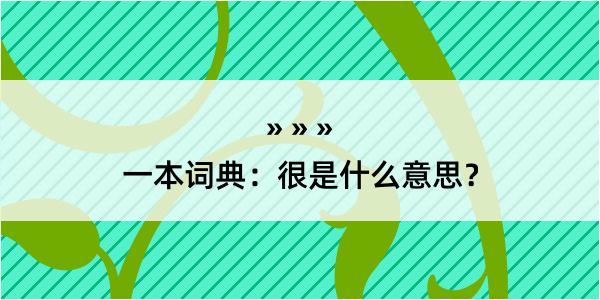 一本词典：很是什么意思？