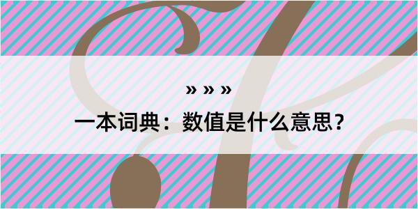 一本词典：数值是什么意思？