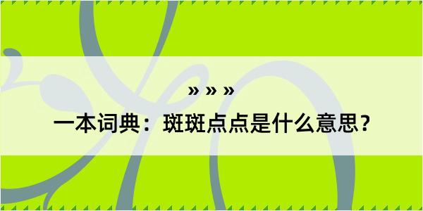 一本词典：斑斑点点是什么意思？