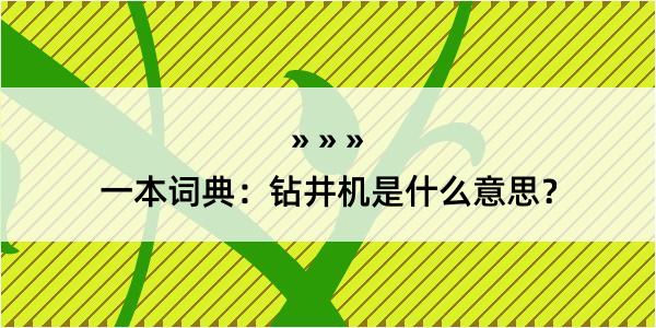 一本词典：钻井机是什么意思？