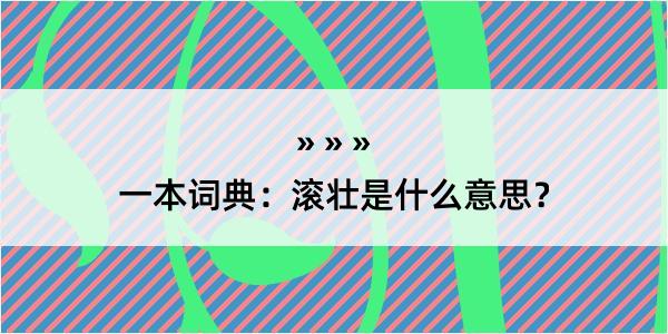 一本词典：滚壮是什么意思？