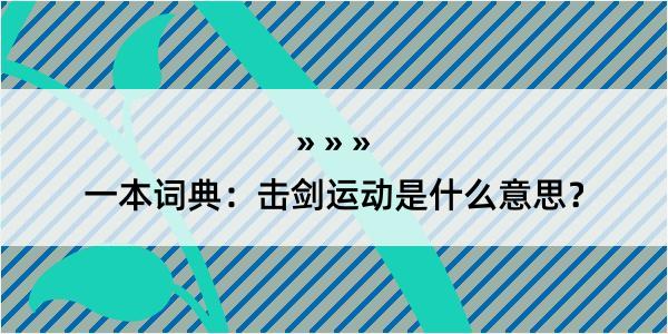 一本词典：击剑运动是什么意思？