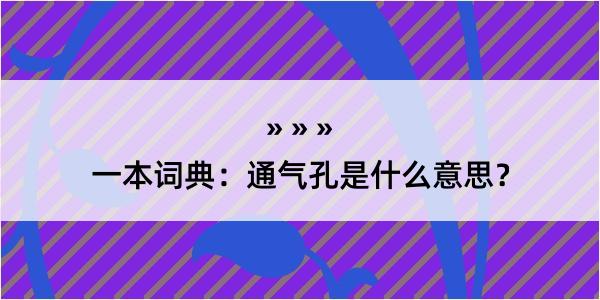 一本词典：通气孔是什么意思？