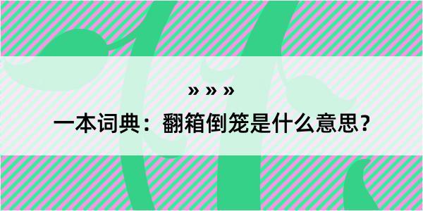 一本词典：翻箱倒笼是什么意思？