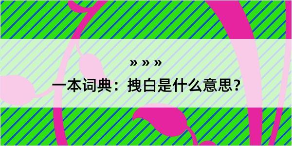 一本词典：拽白是什么意思？