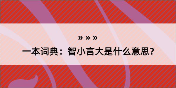 一本词典：智小言大是什么意思？