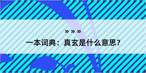 一本词典：真玄是什么意思？