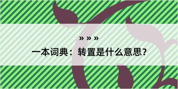 一本词典：转置是什么意思？