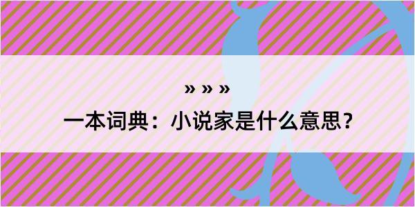 一本词典：小说家是什么意思？