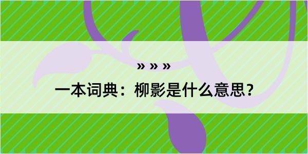 一本词典：柳影是什么意思？