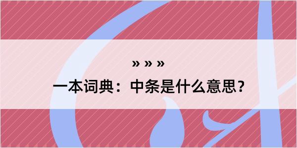 一本词典：中条是什么意思？