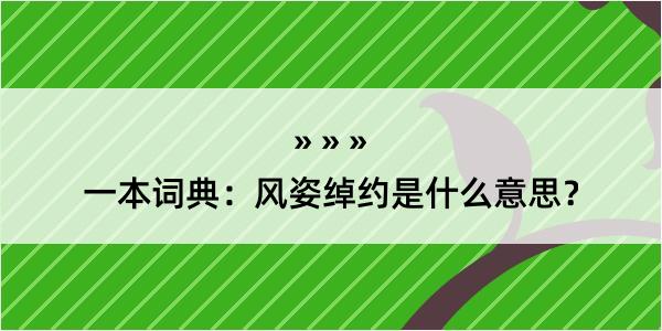 一本词典：风姿绰约是什么意思？