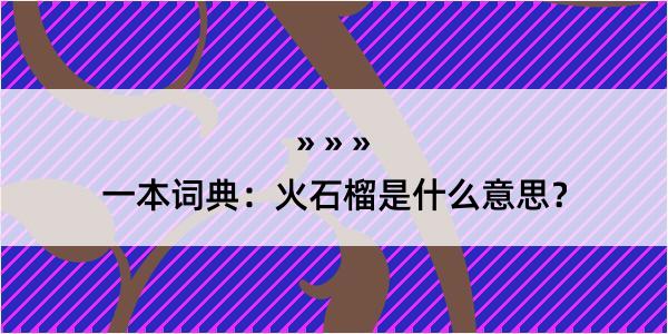 一本词典：火石榴是什么意思？