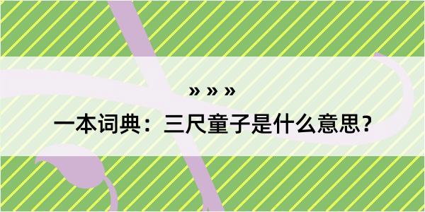 一本词典：三尺童子是什么意思？