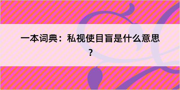 一本词典：私视使目盲是什么意思？