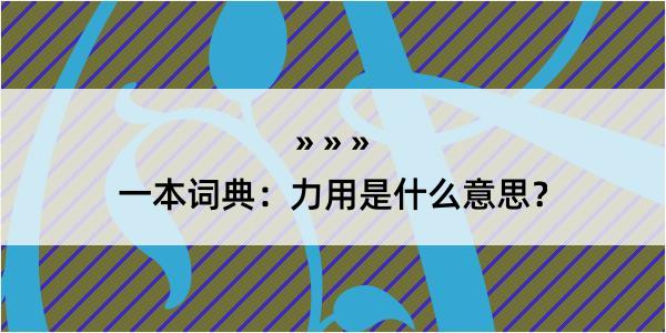 一本词典：力用是什么意思？