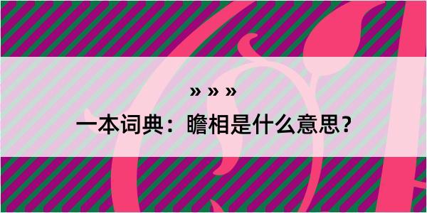 一本词典：瞻相是什么意思？