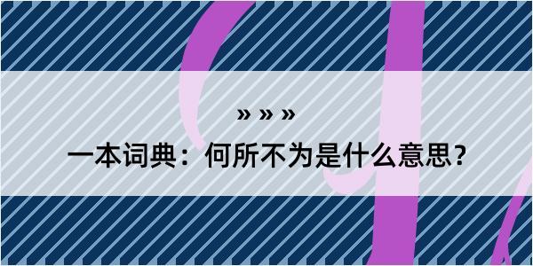 一本词典：何所不为是什么意思？