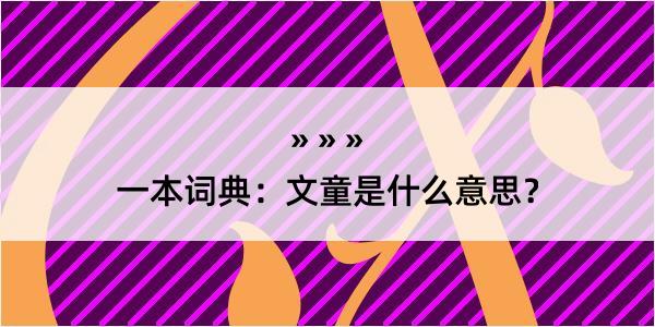 一本词典：文童是什么意思？