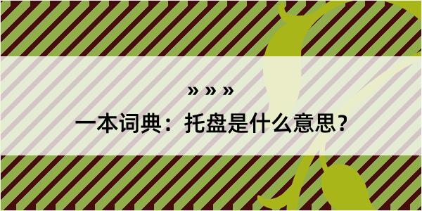 一本词典：托盘是什么意思？