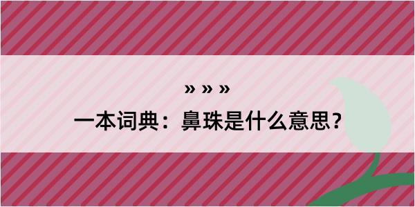 一本词典：鼻珠是什么意思？