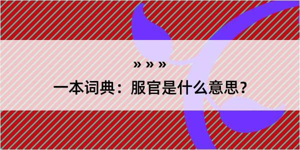 一本词典：服官是什么意思？