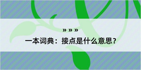 一本词典：接点是什么意思？