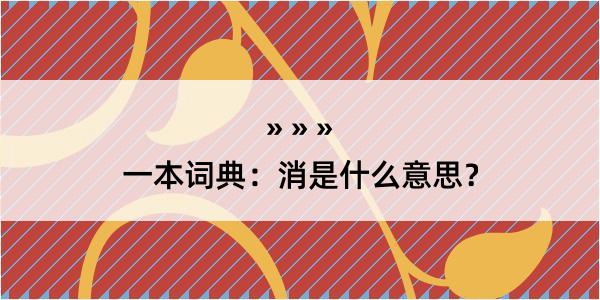 一本词典：消是什么意思？