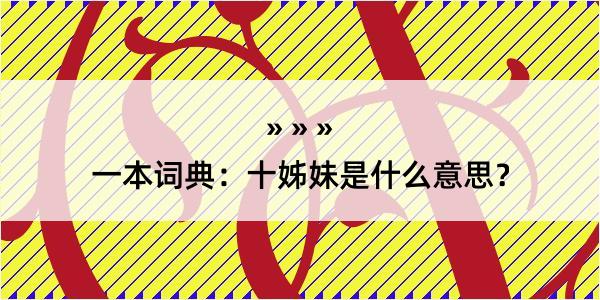 一本词典：十姊妹是什么意思？