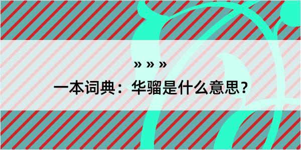 一本词典：华骝是什么意思？