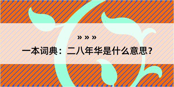 一本词典：二八年华是什么意思？